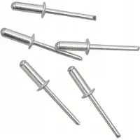 Rexxer Aluminium Klinknagels 4.8x8 mm - 50 Stuks
