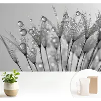 Wallfluent Fotobehang - Wit Vliesbehang - 104x70 cm - Natte Delicatesse Muurschildering - Gang behang Bloemen En Planten - Fotobehang Vlies - Slaapkamer behang