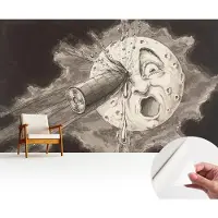Wallfluent Zelfklevend Fotobehang - Zwart-Wit Vliesbehang - 416x254 cm - Kosmische Botsing Fotobehang - Woonkamer behang Kosmos - Polyester Behang - Luchtbelvrij Behang