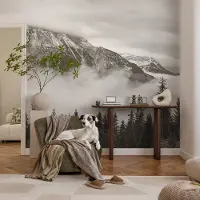 Coloray Vliesbehang - Zwart-Wit Snellijm Behang - 250x104 cm - Berglandschap Muurschildering - Gang behang Landschappen - Fotobehang Vlies - Slaapkamer behang