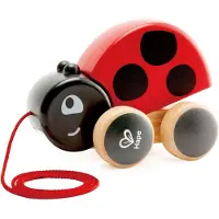 Hape Lieveheersbeestje Trekdier