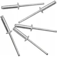 Rexxer Aluminium Klinknagels 4.0x16 mm - 50 Stuks