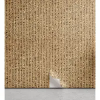 KOZMOS TEKSTİL VE GERİ DÖNÜŞÜM SANAYİ TİCARET LİMİTED ŞİRKETİ Egyptisch aftrekbaar en kleefbehang voor thuis, Ancinet hiërogliefen, zelfklevende woonkamer keukenaccent, 33 cm x 90 cm, zandbruin zwart