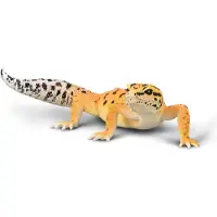 Collecta Figurine - Luipaardgekko - (L) - Wilde Dieren - Handgeschilderd - Miniatuur