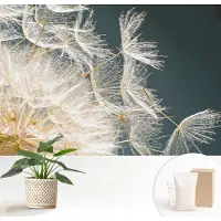 Wallfluent Fotobehang - Wit Vliesbehang - 152x104 cm - Paardenbloem Van Lichtheid Muurschildering - Slaapkamer behang Bloemen En Planten - Fotobehang Vlies - Slaapkamer behang
