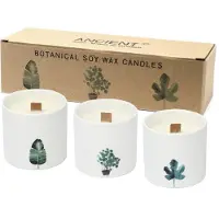 Ancient Wisdom Set Grote Botanische Geurkaarsen - Soy Wax - Viooltjes - Keramiek Potten