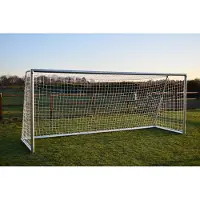 Avyna Professioneel Voetbaldoel met Net - 500 x 200 cm - Aluminium