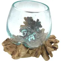 Ancient Wisdom Gesmolten glas op zeldelijk, door parasieten aangetast hout