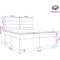 vidaXL Boxspringbed met matras Zwart 200 x 200 cm Fluweel