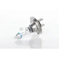 Bosch 1 987 302 174 Gloeilamp, verstraler