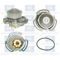 Saleri SIL PA278P Waterpomp