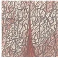 Konkurrent Skullflower - Kino III: Xaman (CD) (Remastered)