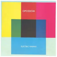 Firedoom Electric Hawaii