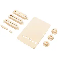Fender Stratocaster Accessory Kit Aged White