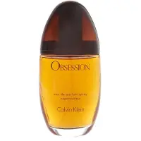 Calvin Klein Obsession Eau de Parfum 100 ml