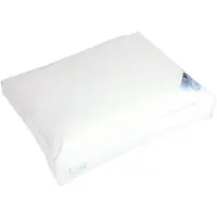 Polydaun ELKE Hoofdkussen