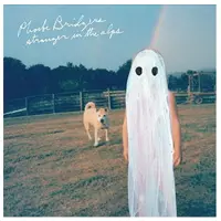 Konkurrent Phoebe Bridgers - Stranger In The Alps (CD)