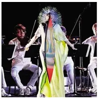 Import Vulnicura strings