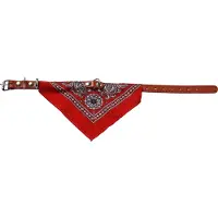 Adori Halsband Met Zakdoek S