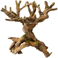 Aqua Della Decor Bonsai 19x19x22 Cm Bruin