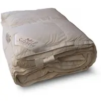 ISleep Silently Donzen 4-Seizoenen Dekbed - 90% Ganzendons - Tweepersoons - 200x220 cm - Wit