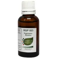Balance pharma RGP023 Bijnieren Regenoplex