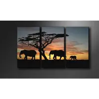 Karo-art Schilderij Olifanten (160x90cm)