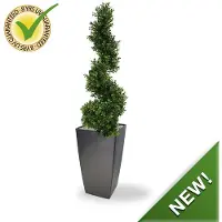 Maxifleur Kunstplanten Uv bestendige kunstbuxus Spiraalboom Deluxe 100 cm