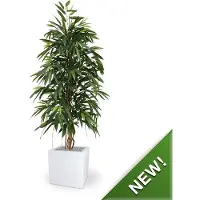 Maxifleur Kunstplanten Longifolia Royal 175 cm kunstboom