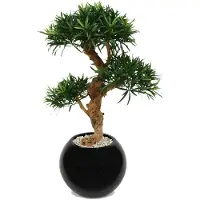 Maxifleur Kunstplanten Podocarpus Kunstbonsai Deluxe x3 65cm op voet