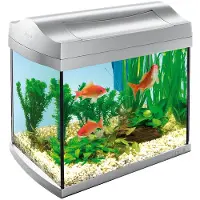 Tetra AquaArt 4004218151499 Aquarium 20L – Zilver – Inclusief Filter en Verlichting