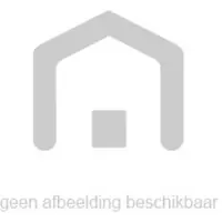 Plieger Divers spiegel rechthoekig 5mm 120x60cm