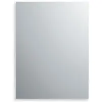 Plieger spiegel 55x70cm rechthoekig 5mm