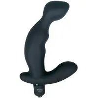 Tom of Finland Prostaat Vibrator Zwart