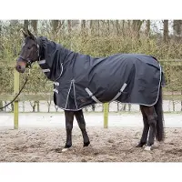 Harry's Horse Regendeken Thor 0gr. Met Nek Stretch Limo_215 cm