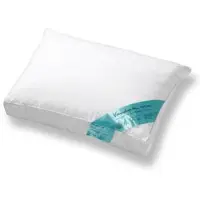 Vandyck Vanydck Saturn Pillow | Memory Fiber Hoofdkussen - 60 x70 cm