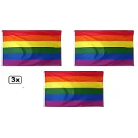 Thema party 3x Vlag regenboog 90x150cm