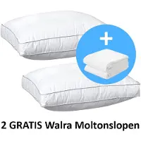 ISleep OrthoMedic Box Hoofdkussen Set (2 Stuks) - 50x60x10 (+2 Walra moltonslopen)