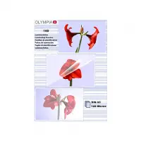 Olympia Lamineerfolies A5 125 micron (2 x 125)