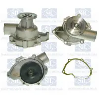 Saleri SIL PA387 Waterpomp