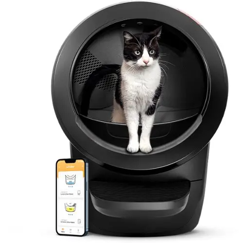 Design Kattenbak [Voor Iedere Kat] De 13 Beste Design Kattenbakken Van 2024